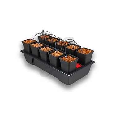 Wilma 10 watering system