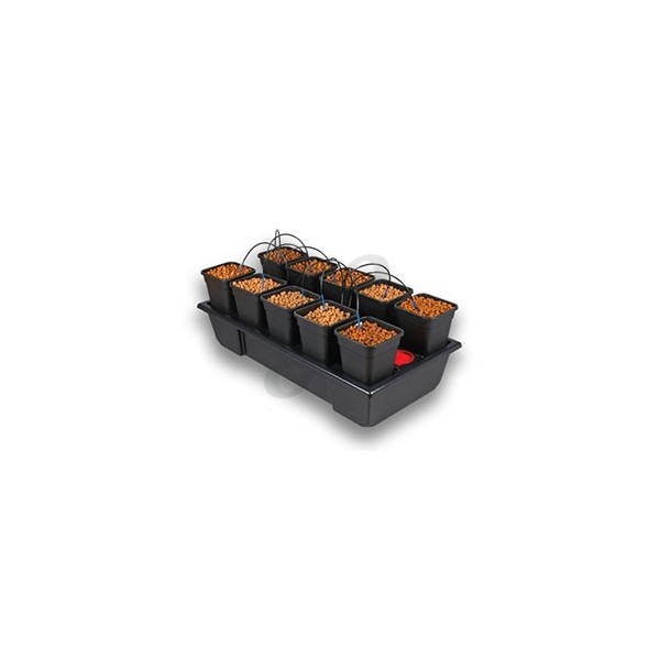 Wilma 10 watering system