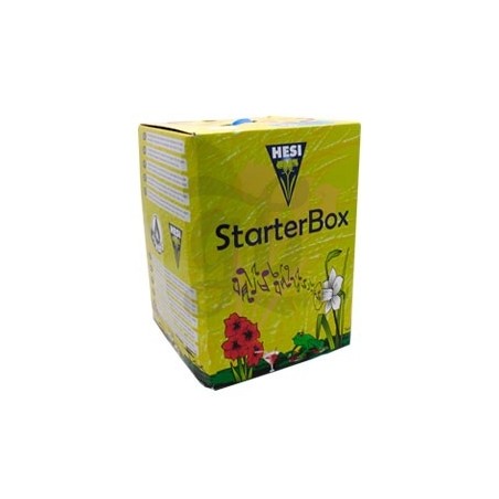 Caja Starter Box Coco