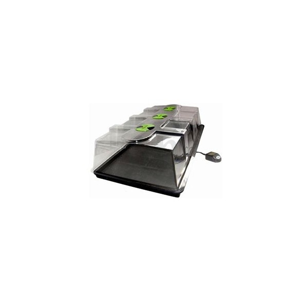 X-Stream Heat Propagator