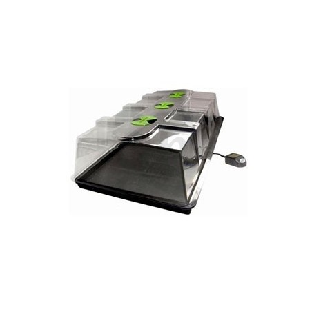 X-Stream Heat Propagator X-Stream Heat Propagator