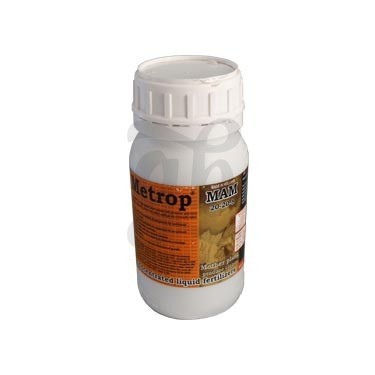 MaM 8 plantes mères 250 ml