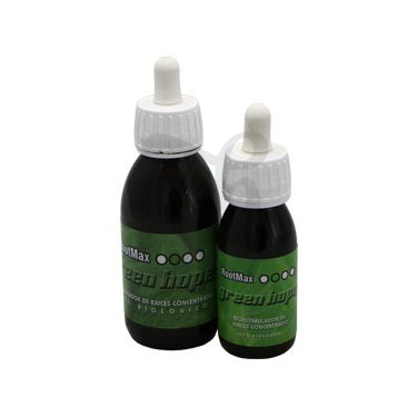 Root Max de Green Hope