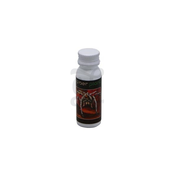 Spiderplant Anti Acariens