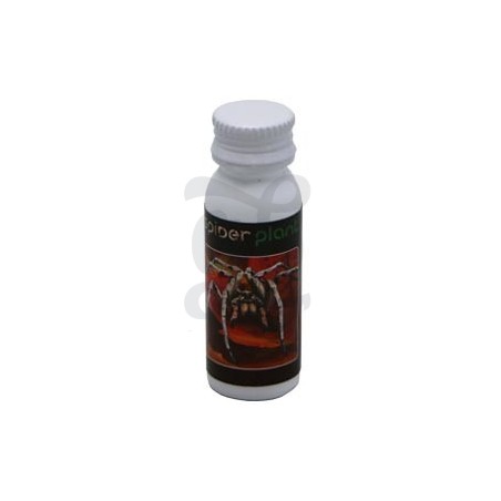 Spiderplant Anti Acariens Spiderplant Anti Acariens