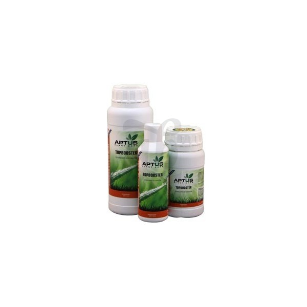 TopBooster todos los formatos