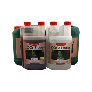 COGr Flores A+B Coco bottles