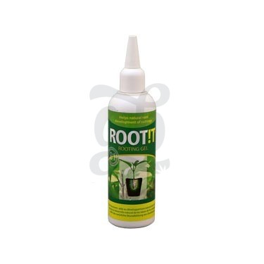 Root it para hacer esquejes