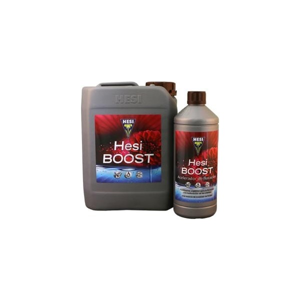 HESI Boost