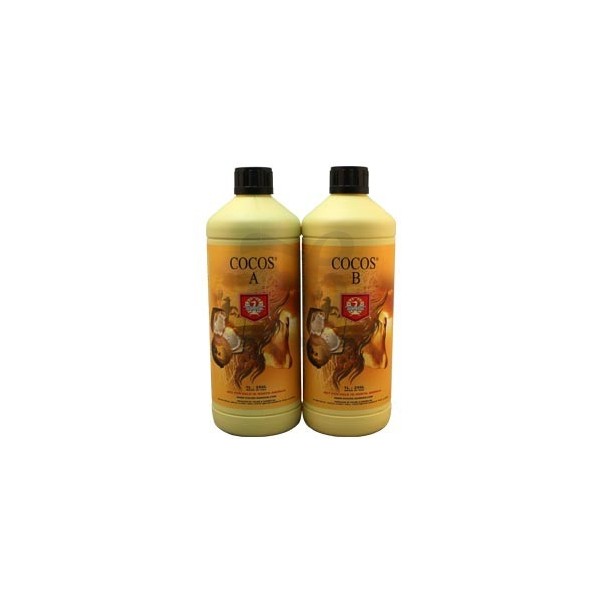 Bouteilles Cocos A+B