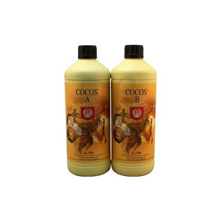Bouteilles Cocos A+B Bouteilles Cocos A+B