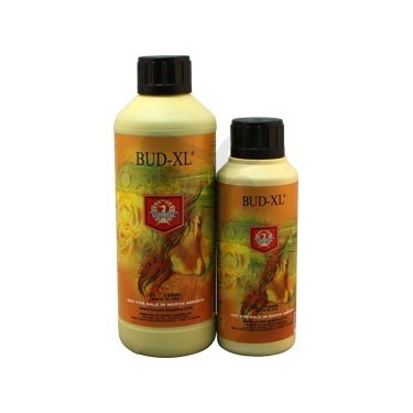 Botellas de Bud XL