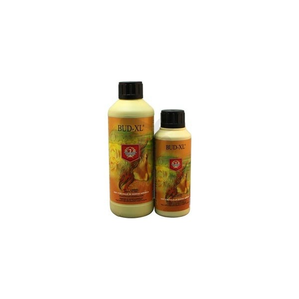 Botellas de Bud XL