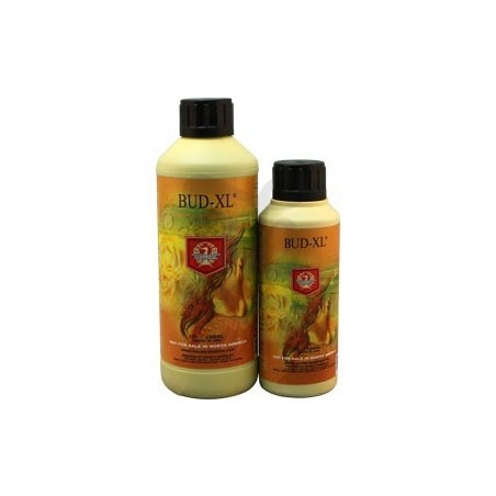Botellas de Bud XL