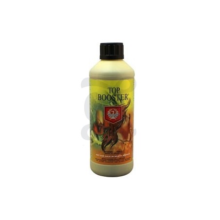 Top Booster Top Booster