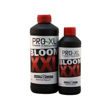 Garrafas de Bloom XXL