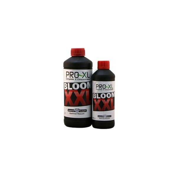 Garrafas de Bloom XXL
