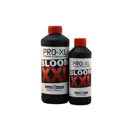 Garrafas de Bloom XXL Garrafas de Bloom XXL