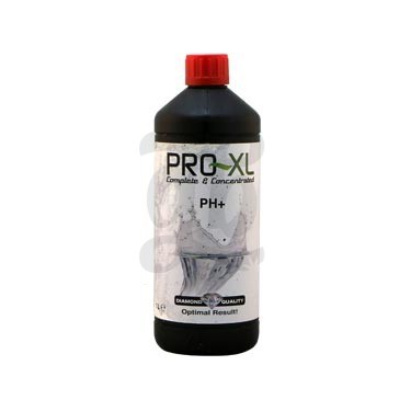pH+ 1 litro