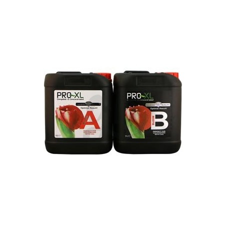 Bloom A+B Floración Pro XL - 5 litros