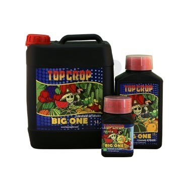 Big One Bottles