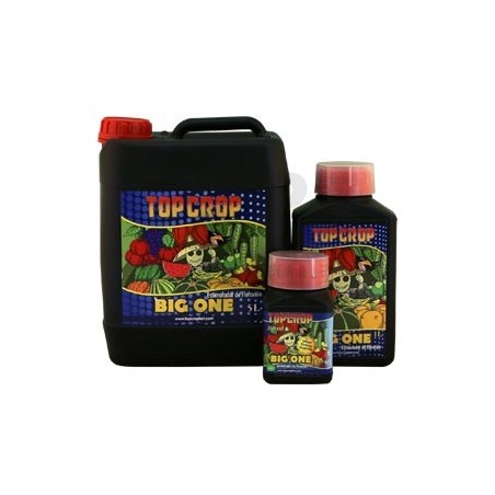 Big One - tous les formats Big One - tous les formats