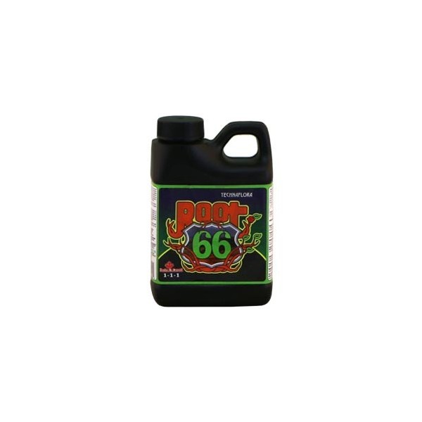 Root66