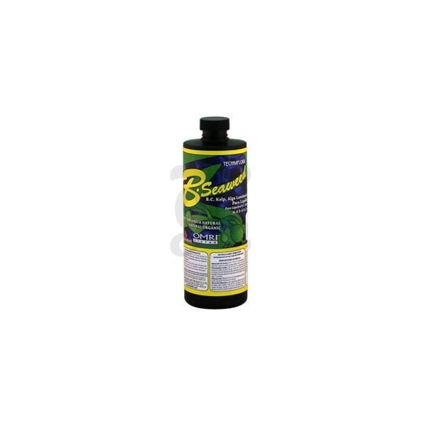 Garrafa de B. Seaweed