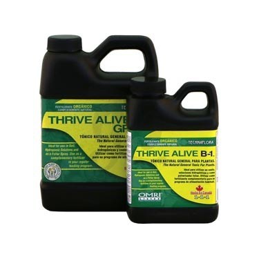 Garrafas de Thrive Alive B1 Green