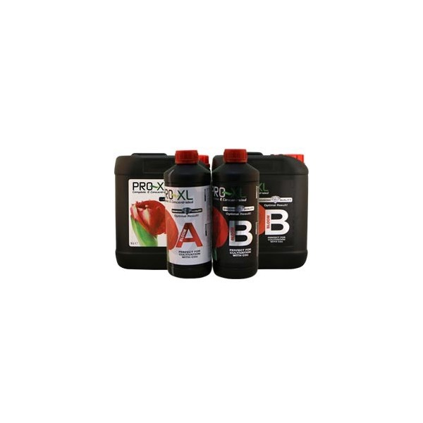 Bloom A+B Pro XL bottles