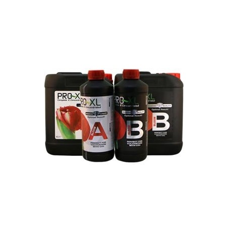 Bloom A+B Pro XL bottles