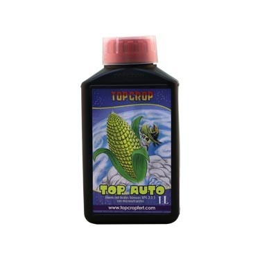 Top Auto planta de marihuana