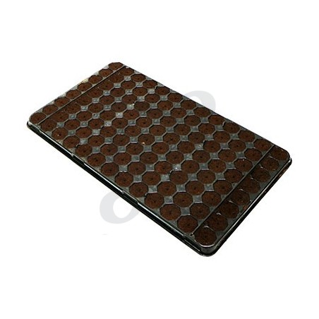 104 Plug Seedling Tray 104 Plug Seedling Tray