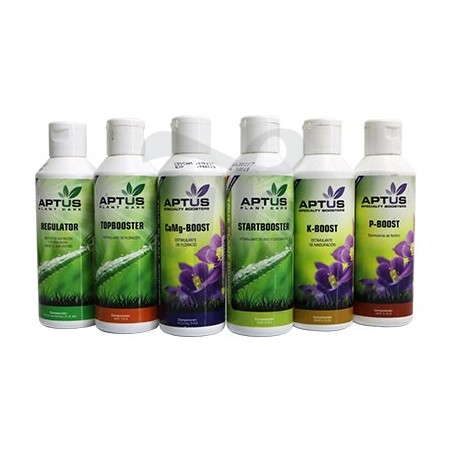 Indoor Set Pro - Todos los productos