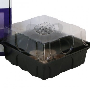Seedbox Plagron - propagateur