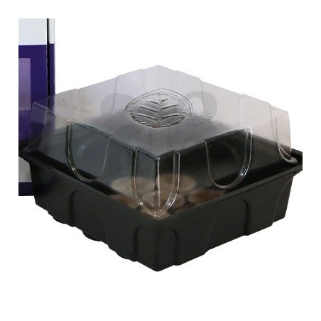 Seedbox Plagron - propagateur