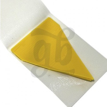 Adhesive Fly Catcher