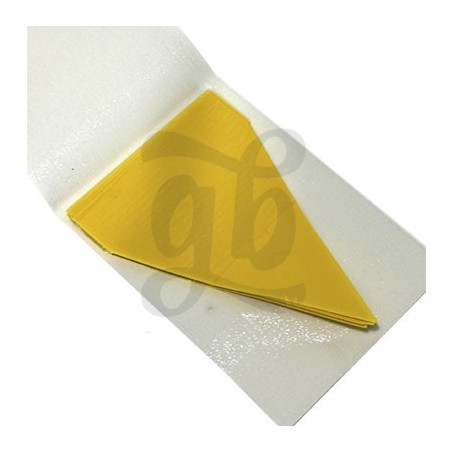 Adhesive Fly Catcher