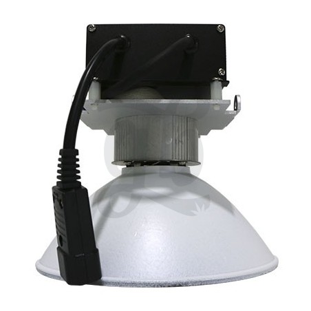 Kit Lec Innotech 150w vista lateral y cable