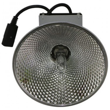 Kit Lec Innotech 150w - Bombilla