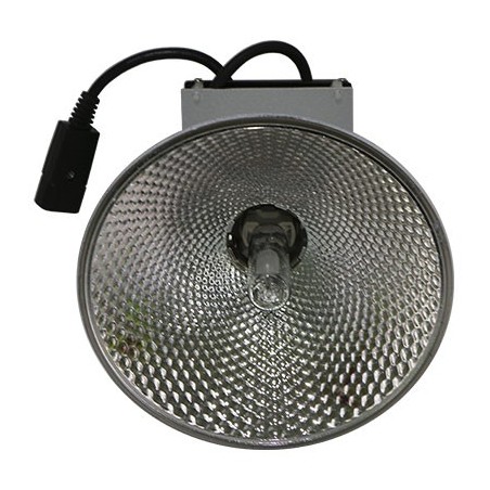 Kit Lec Innotech 150w - Bombilla