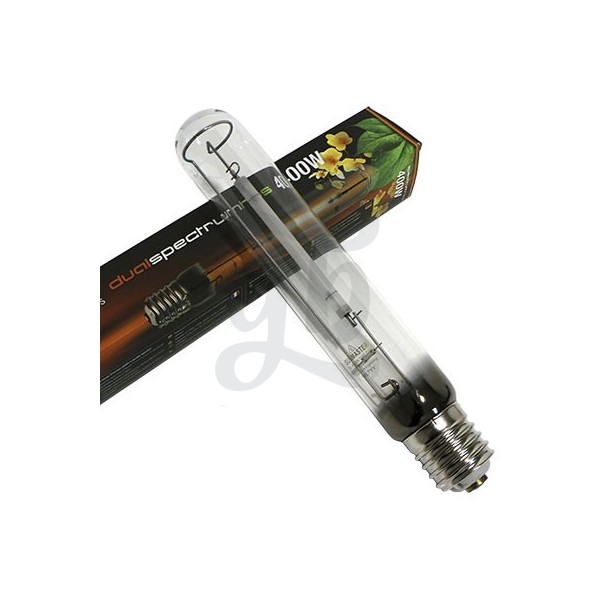 Sunmaster Dual Lamp