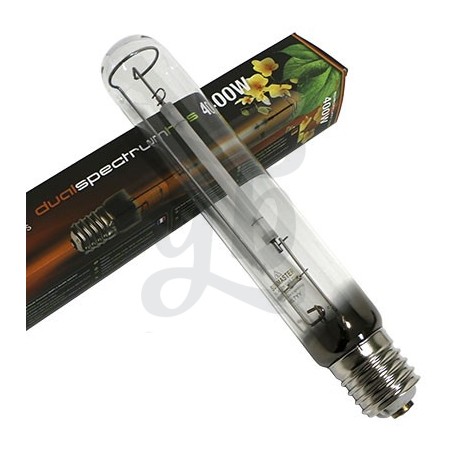 Ampoule SunMaster Dual Lamp Mixte Ampoule SunMaster Dual Lamp Mixte
