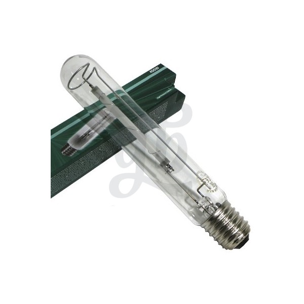 Ampoule Sylvania SHP-TS - Floraison
