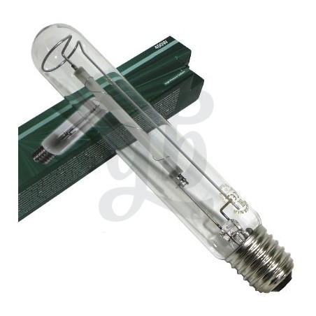 Ampoule Sylvania SHP-TS - Floraison Ampoule Sylvania SHP-TS - Floraison