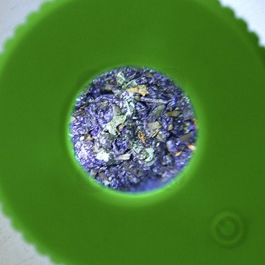 Display Jar with Magnifying Glass - Magnifying glass up close