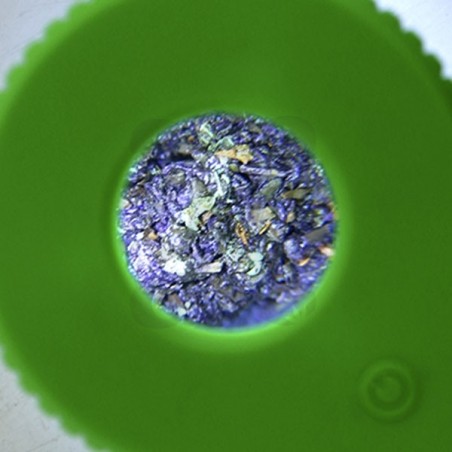 Display Jar with Magnifying Glass - Magnifying glass up close