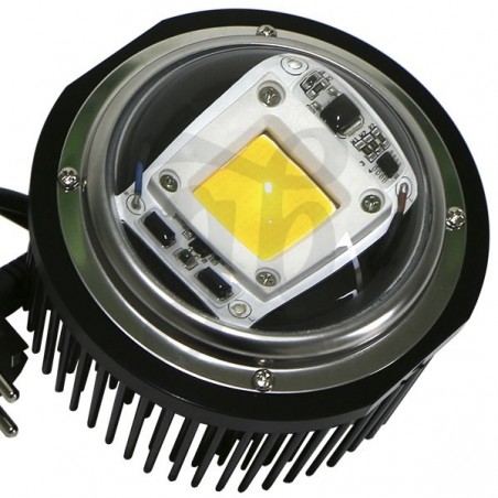LED TX COB DOB bolha
