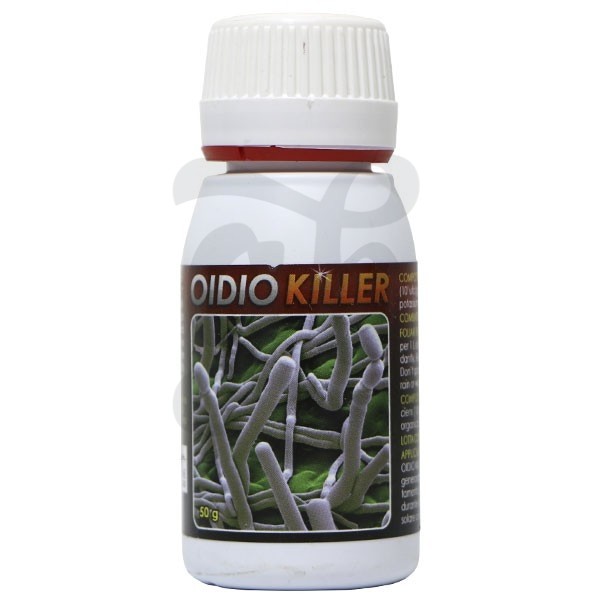 Assassino de Oidio