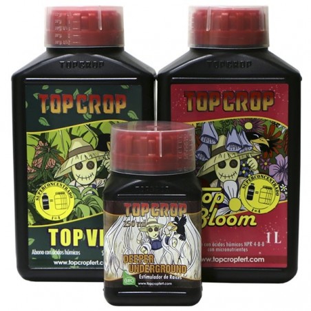Topo da cultura básica Kit Topo da cultura básica Kit
